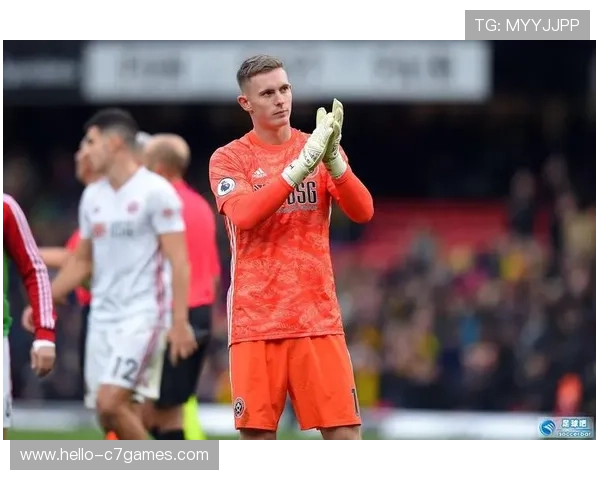谢菲尔德星期三俱乐部百年传承与英格兰足球精神的坚守与复兴之路 谢菲尔德星期三俱乐部百年传承与英格兰足球精神的坚守与复兴之路